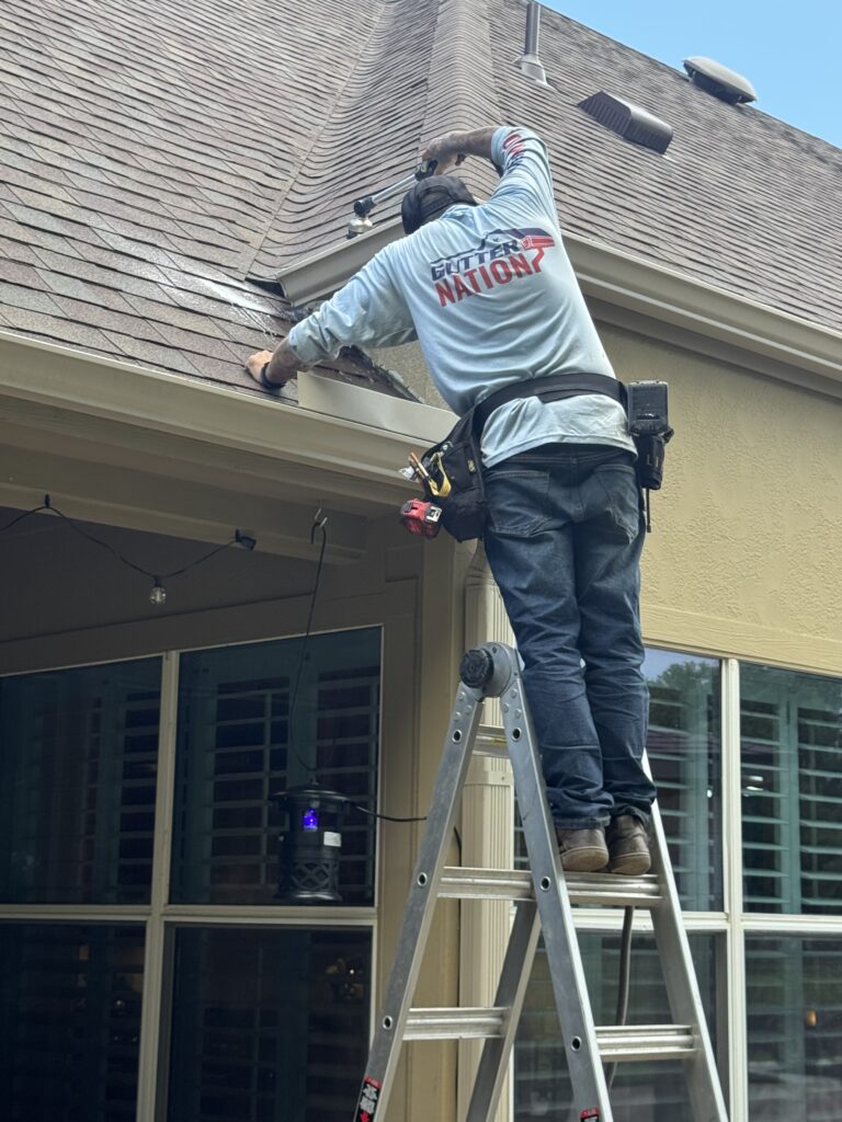 Gutter cleaning services