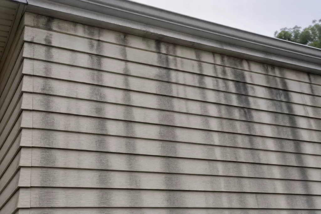 Dark Streaks on Siding