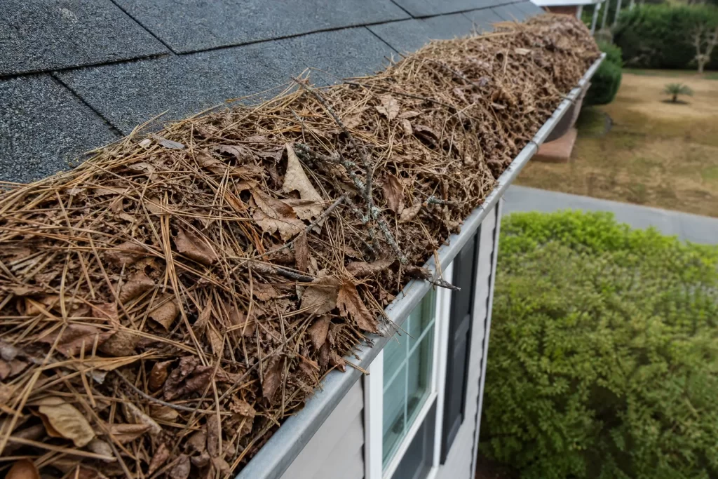 Debris Above the Gutter LINE