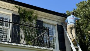 Gutter Company vs Roofing Company: Who To Hire?